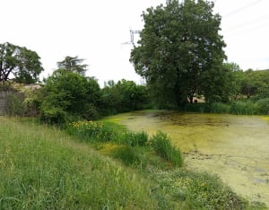Petite boucle de 6 km à Saint-Paul-les-Fonts - Saint-Paul-les-Fonts - 4