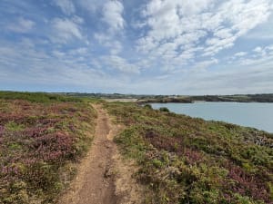 Aber-eiland (Crozon) - Crozon - 14