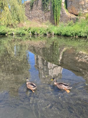 Evreux et insouciante ruée vers l'Eure - Évreux - 7