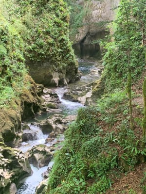 Etre saisi par les gorges de la Saine et de la Langouette - Les Planches-en-Montagne - 16