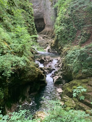 Etre saisi par les gorges de la Saine et de la Langouette - Les Planches-en-Montagne - 17