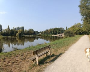 Le Pommain et le tour du lac de Bout de Bois - Cedric - 7