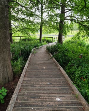Petite balade au Parc départemental du Sausset - Aulnay-sous-Bois - 15