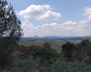 Le Bois de Paris : sa grotte et sa table d’orientation - Garrigues - 7