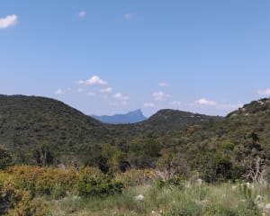 Le Bois de Paris : sa grotte et sa table d’orientation - Garrigues - 8