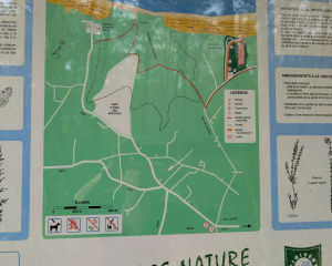 Aller retour Pourville Quiberville - Hautot-sur-Mer - 2