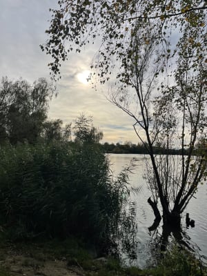 Autour de la Ballastière - Bischheim,Strasbourg - 3