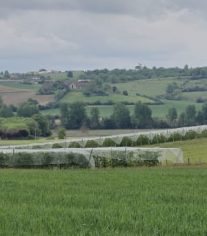 PR2 circuit du château et du lemboulas - Vazerac - 6