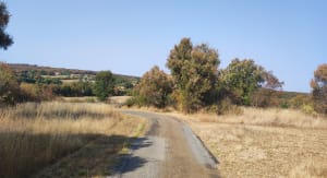 Petite sortie vers Cavagnac - Gramat - 2