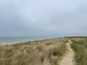 Graye-sur-Mer entre champs et plages - Marc - 13