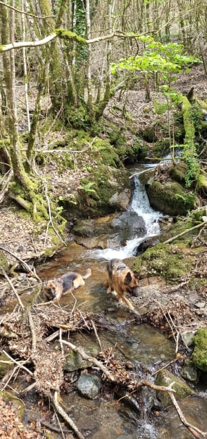 Brusque, source de St-Thomas - Brusque - 4