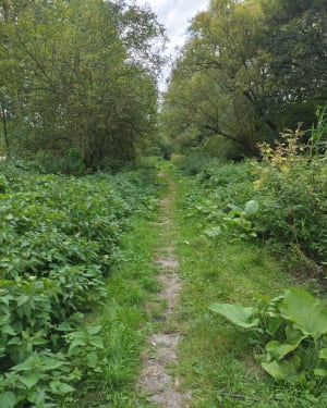 La promenade du Marais de Fretin, par le Bois des Enclos - Fretin - 7