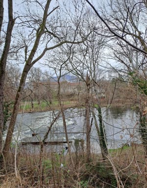 Sur les bords de l'Allier à Longues - Vic-le-Comte - 2