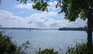 Sous les arbres du Minihic  entre forêt et littoral. - Le Minihic-sur-Rance - 20