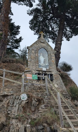 Sous les arbres du Minihic  entre forêt et littoral. - Le Minihic-sur-Rance - 21
