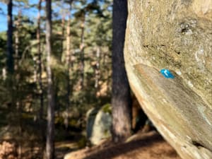 Kinderwandeling: het bos van Fontainebleau van rotsen tot grotten - Fontainebleau - 28