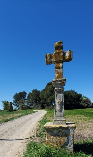 Boucle viticole autour de Corneilhan - Corneilhan - 13