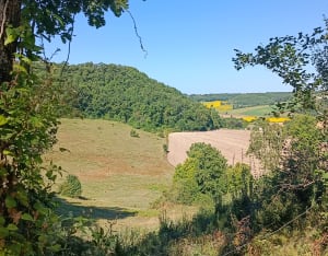 Les chemins de Montagudet - Montagudet - 6