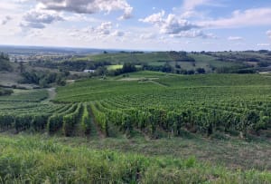 Petite balade à Poligny et sur le GR® 59 - Poligny - 4