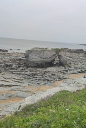 Belle balade à vélo de La Plaine-sur-Mer à Pornic. - La Plaine-sur-Mer - 8