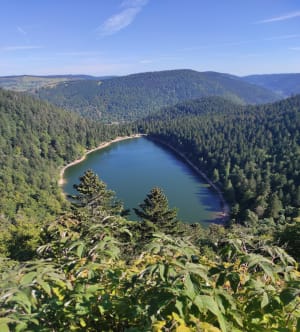 Raven Lake en zijn uitzichtpunt - La Bresse - 13
