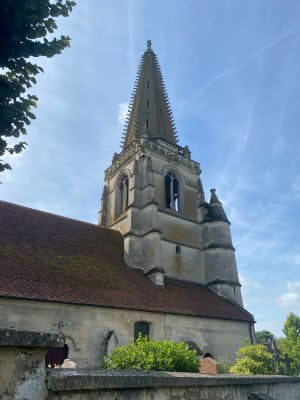 Le Gommeron - Coucy-le-Château-Auffrique - 8