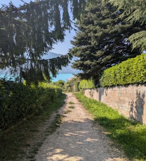 De la colline du poète au lac à Tresserve - Tresserve - 7