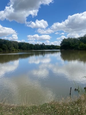 Balade à Bouconne par le lac - Pibrac - 2