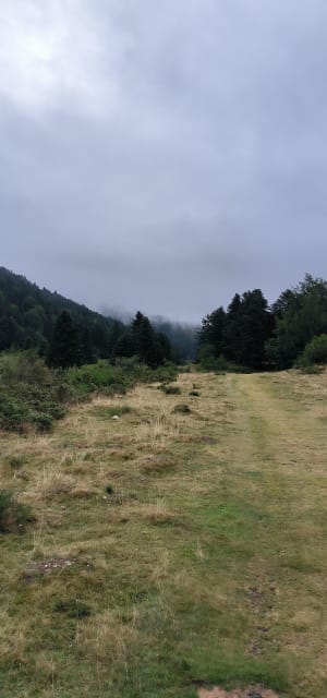 Le lac de Payolle - Ancizan - 22