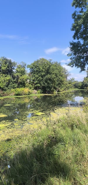 Mantes, les Mureaux en bord de Seine - Mantes-la-Ville - 2