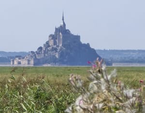 Balade de Genêts au grouin du sud - Genêts - 13