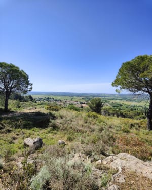 Que dure ce moment doux à Murviel-lès-Béziers ! - Murviel-lès-Béziers - 3