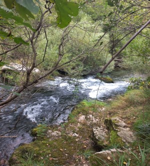 Randonnée aux Moulins de la Foux - Saint-Maurice-Navacelles - 14