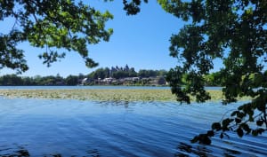 Courir autour des plans d'eau de Combourg - Combourg - 9