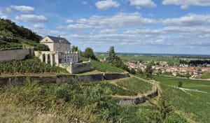 Boucle familiale jusqu'au parcours de santé de Nuits-Saint-Georges - Nuits-Saint-Georges - 4