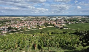 Boucle familiale jusqu'au parcours de santé de Nuits-Saint-Georges - Nuits-Saint-Georges - 5