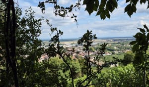 Boucle familiale jusqu'au parcours de santé de Nuits-Saint-Georges - Nuits-Saint-Georges - 6
