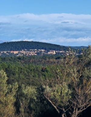Se laisser séduire par Le Thoronet et la nature varoise - Le Thoronet - 2