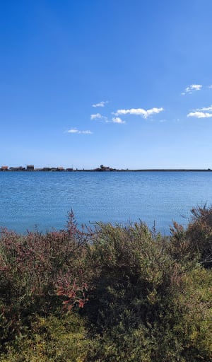 Les Aresquiers - Vic-la-Gardiole - 39