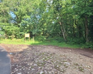 Se ressourcer à travers une balade dans le bois du Roi - Saint-Pierre-Canivet - 5