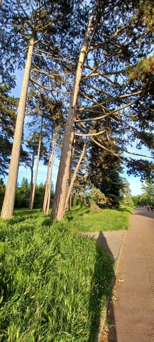 Het Tête d’Or-park en zijn landelijke ontsnapping - Les Brotteaux, Lyon 6e Arrondissement - 3