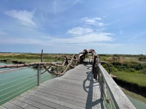 Zoutmoerassen en stranden op het Île de Ré - Ars-en-Ré - 5
