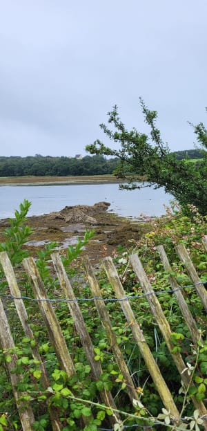 Logonna-Daoulas et le tour de la Pointe du Château - Logonna-Daoulas - 7