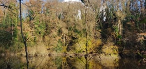 Een uitje langs de Gesvres en discrete ontmoetingen - Nantes - 22