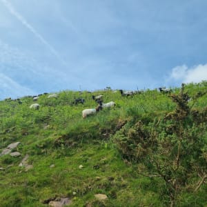 Envolée vers le Pena Plata, entre la France et l'Espagne - Lezea, Sare - 8
