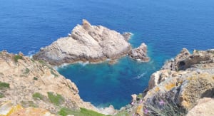 De Calvi à La Revellata - Calvi - 37