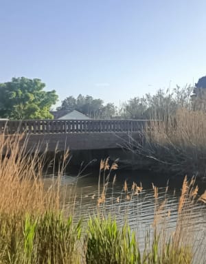 Balade au bord de l'étang de l'Or, Mauguio - Mauguio - 18