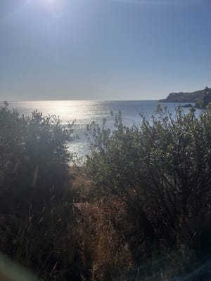 Sentier de Port-Vendres et paysages colorés et lumineux - Port-Vendres - 2