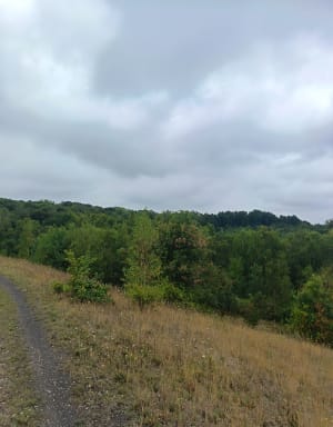 Lapugnoy et le bois de Roquelaure - Lapugnoy - 3