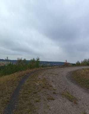 Lapugnoy et le bois de Roquelaure - Lapugnoy - 4
